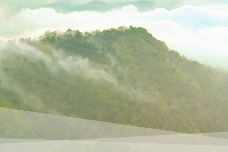 Teaser image for Les Belges et le tourisme durable