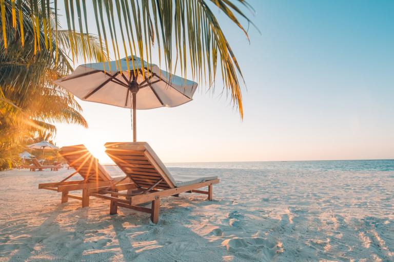 Teaser image for Een sterke zomer en een veelbelovende winter